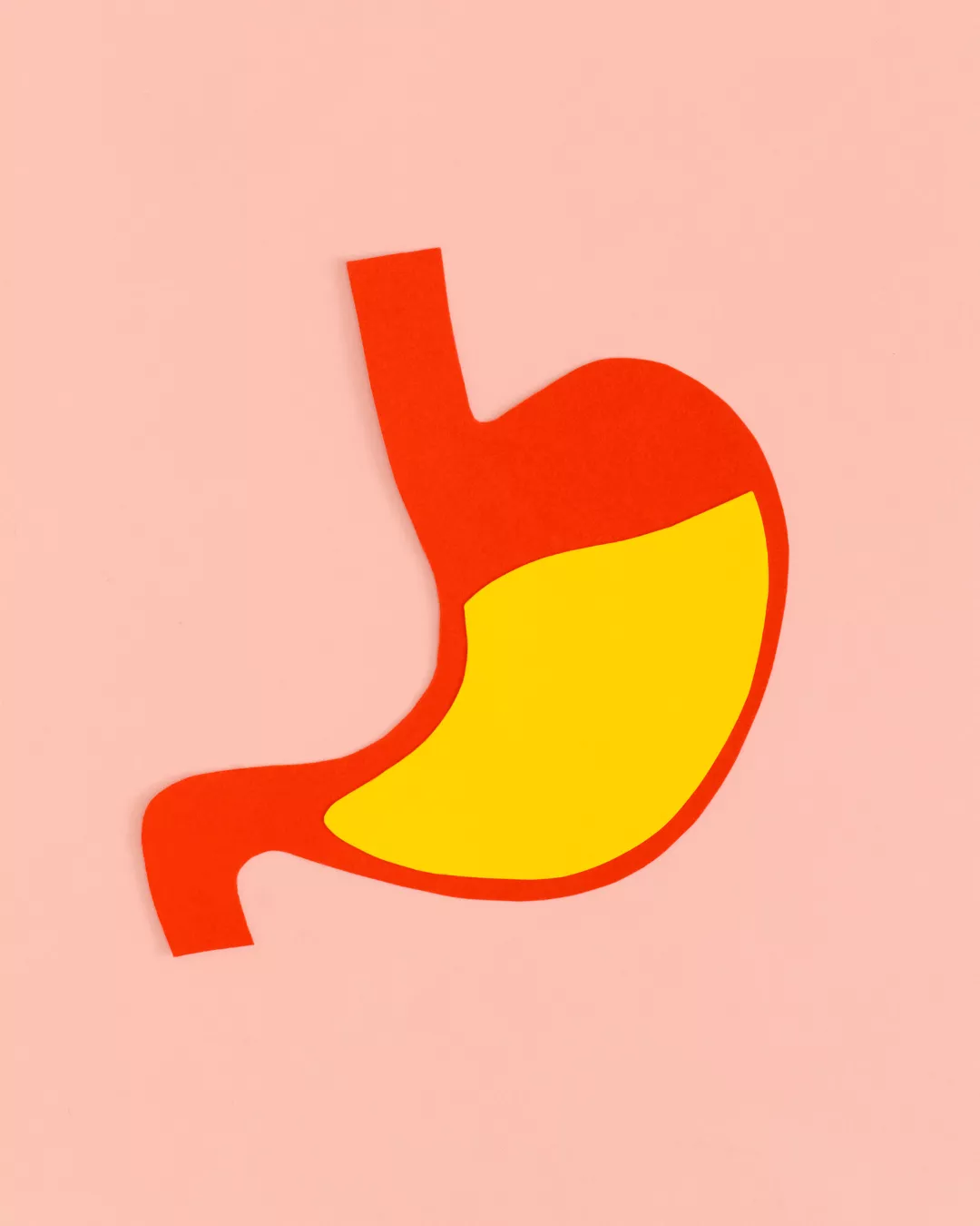 A paper cut out depicting stomach acid inside the stomach.